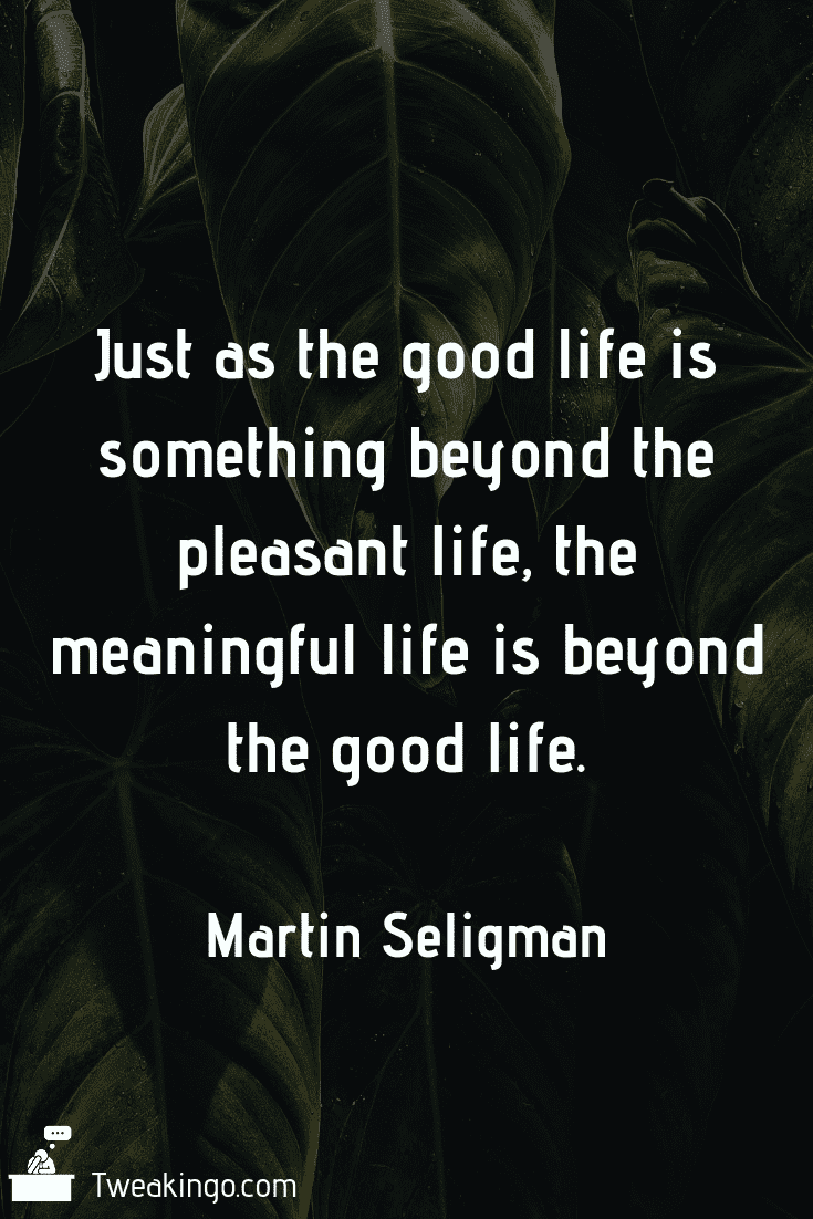 Martin Seligman Quotes About Meaning Optimism And Well-Being