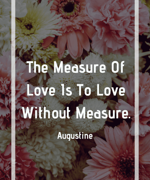 "The measure of love is to love without measure." -Saint Augustine