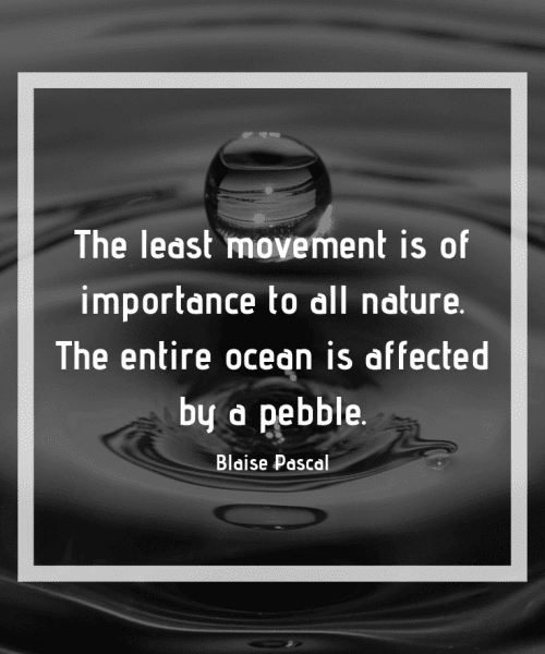 "The least movement is of importance to all nature. The entire ocean is affected by a pebble." - Blaise Pascal